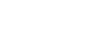 lux Blox Icon Logo White