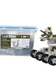 LUX BLOX STEAM Accelerator: Small Group Set